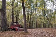 old-red-truck-in-the-woods