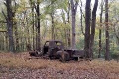 old-truck-in-the-woods